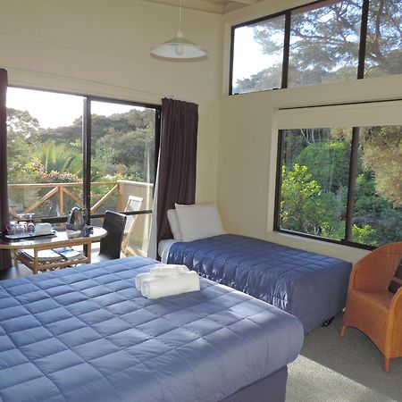 Waiheke Island Punga Lodge Oneroa Room photo