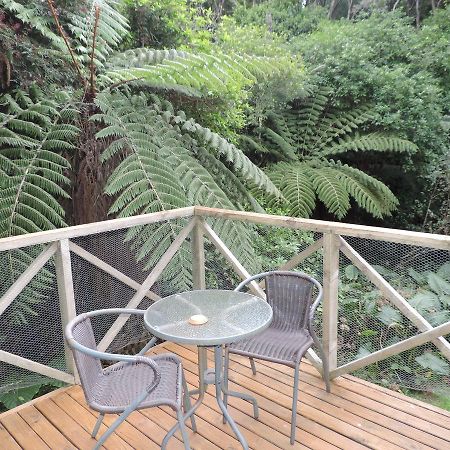 Waiheke Island Punga Lodge Oneroa Exterior photo