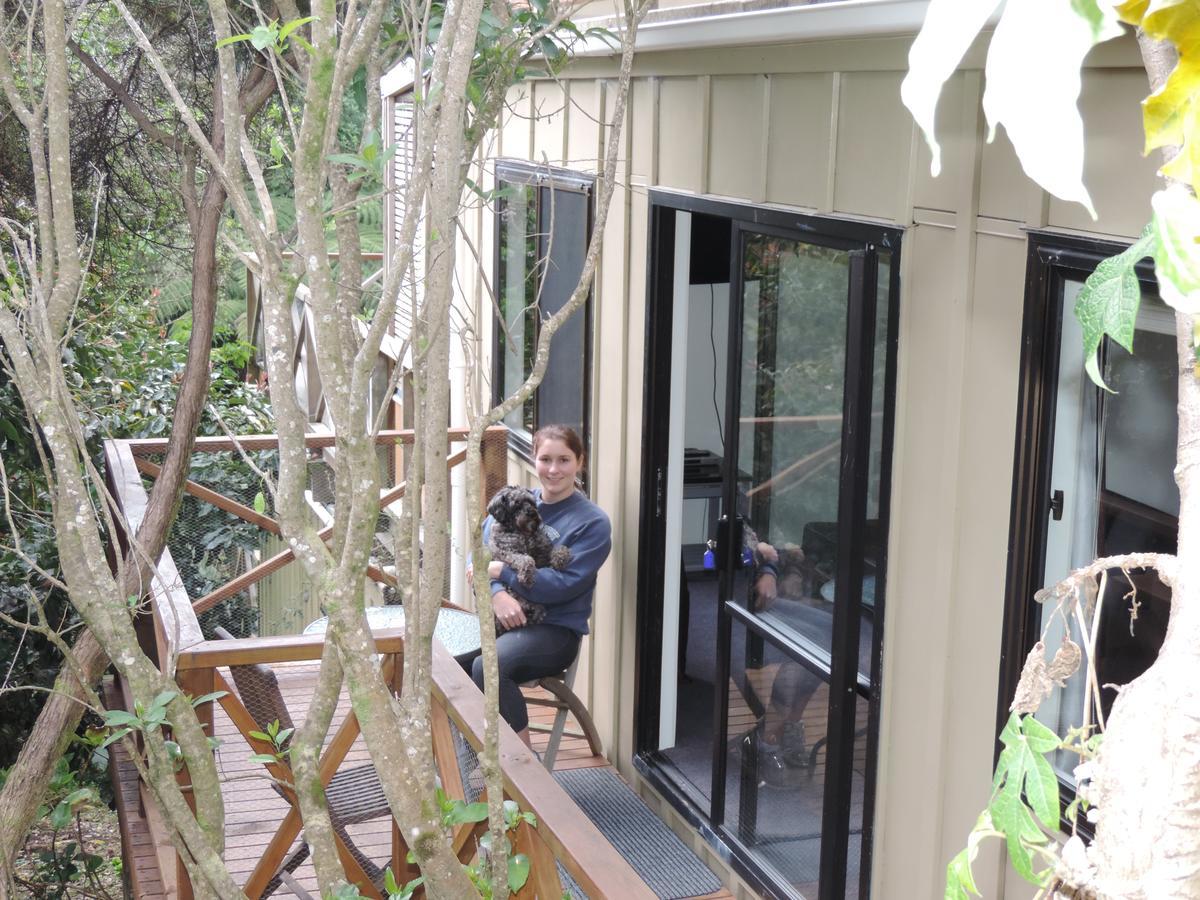 Waiheke Island Punga Lodge Oneroa Exterior photo
