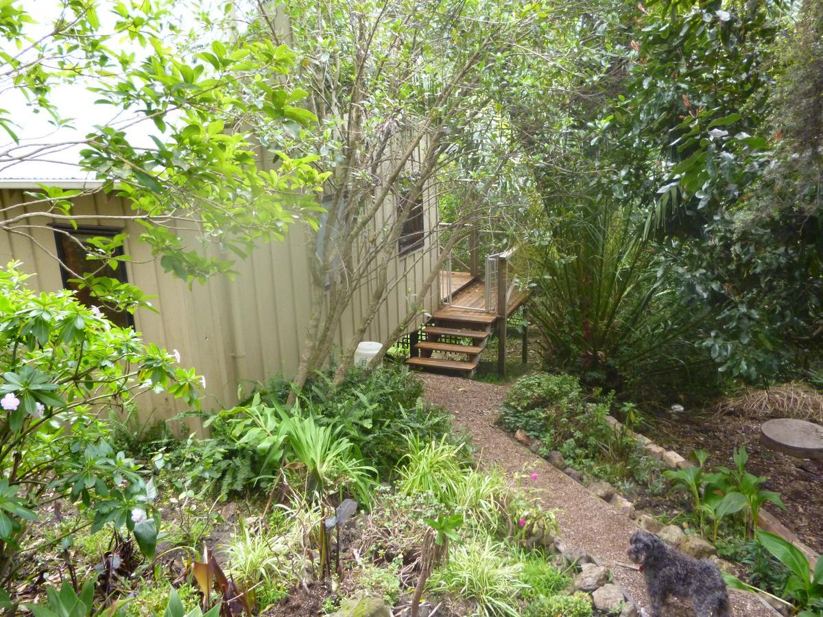 Waiheke Island Punga Lodge Oneroa Exterior photo