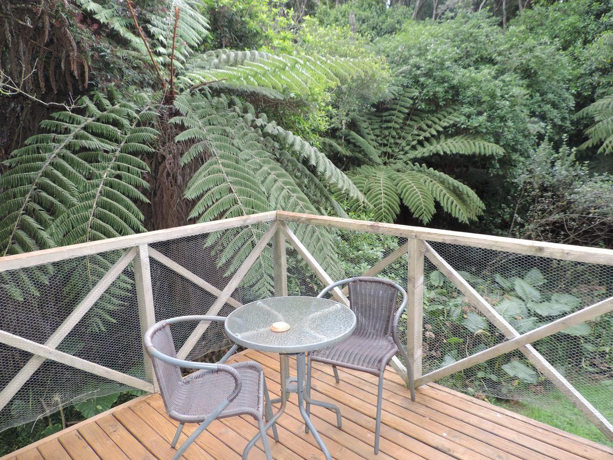 Waiheke Island Punga Lodge Oneroa Exterior photo